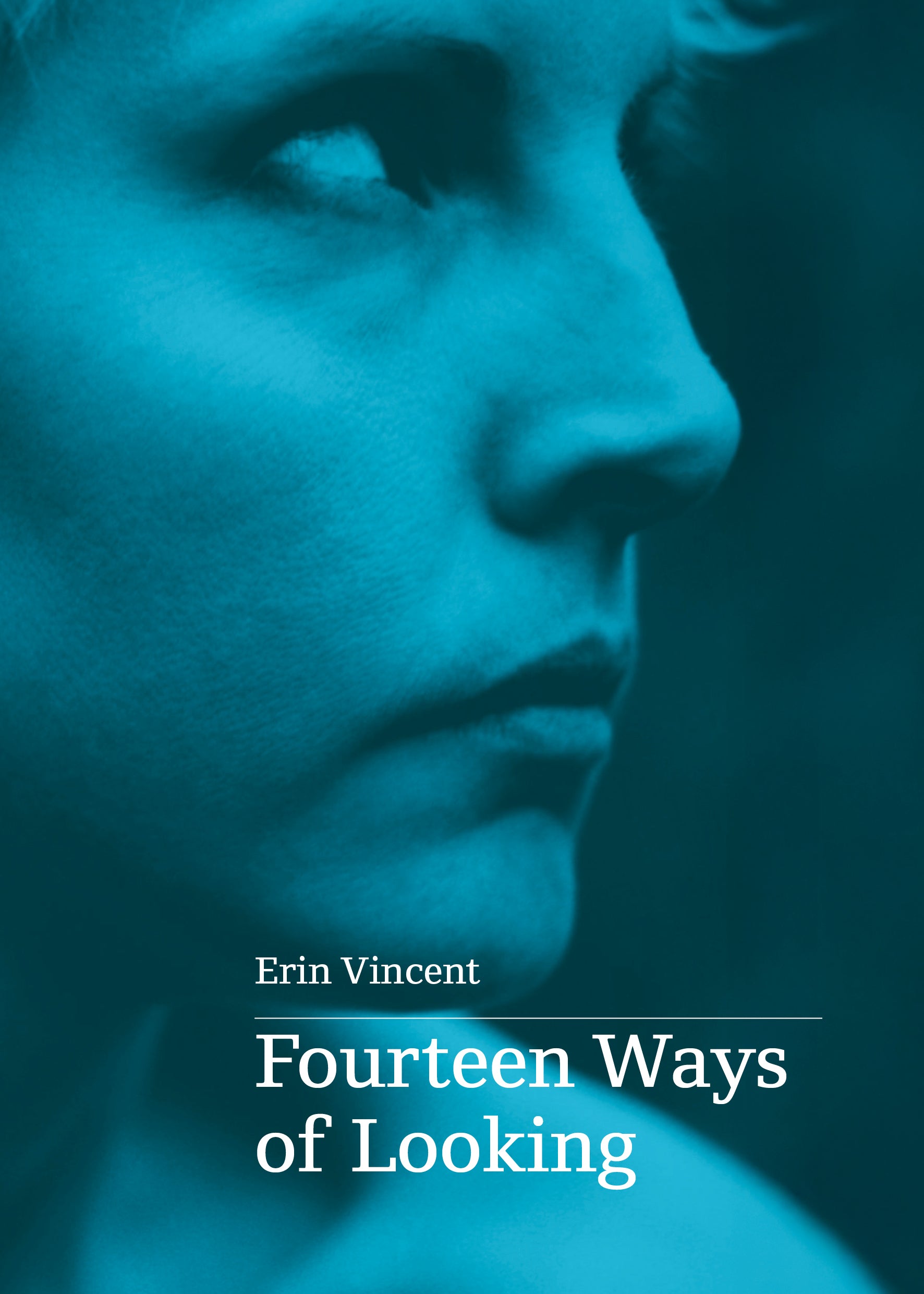 Fourteen Ways of Looking