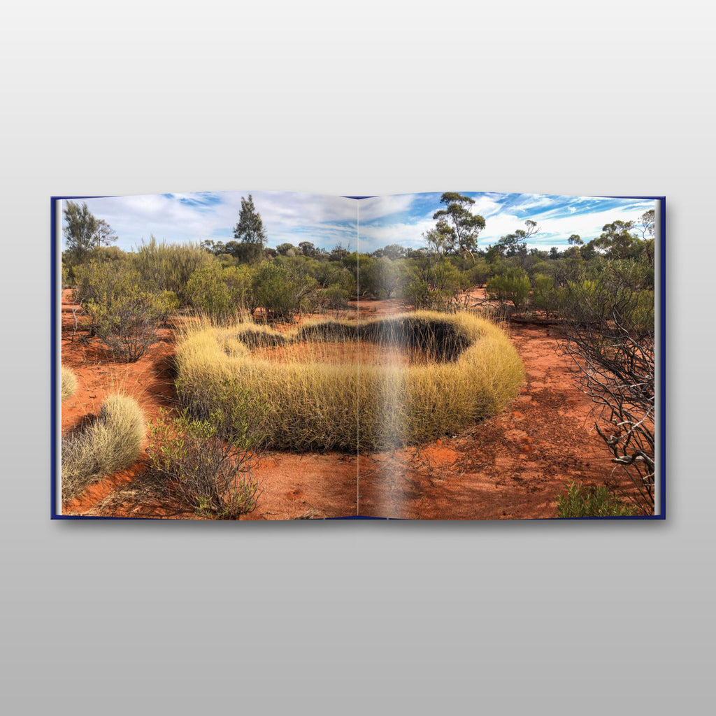 Sun & Shadow: Art of the Spinifex People