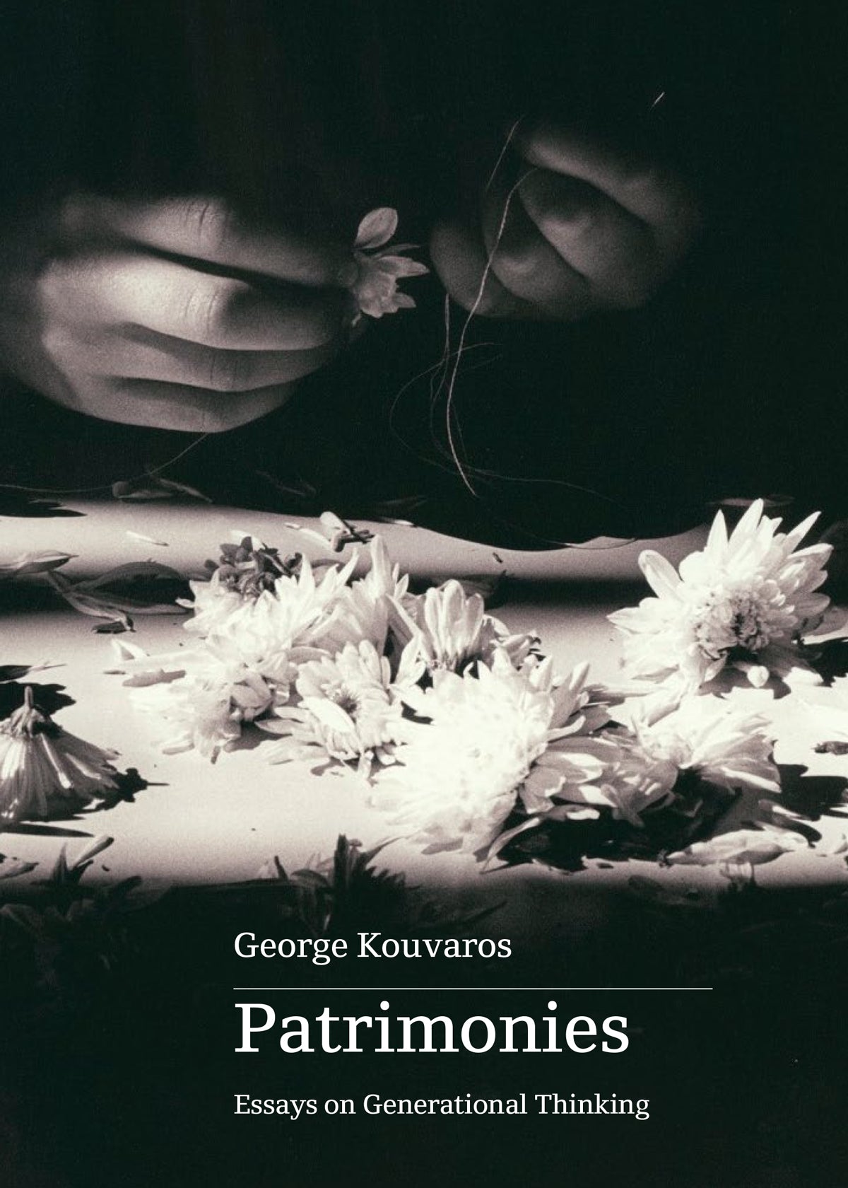 Patrimonies: Essays on Generational Thinking